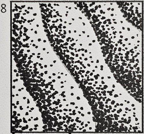 March 8th Doodle Tutorial