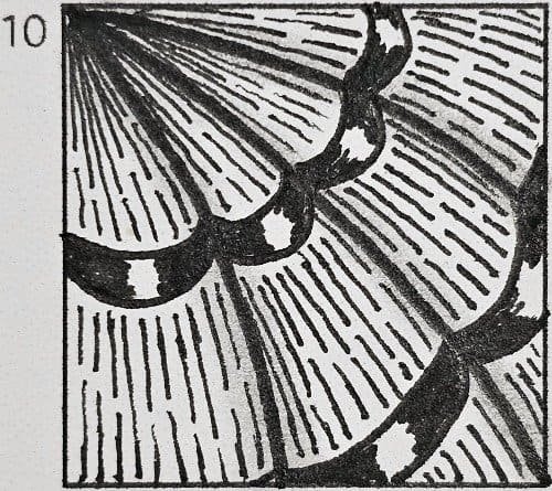 March 10th Doodle Tutorial