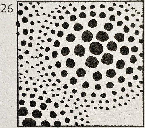 April 26th Doodle Tutorial