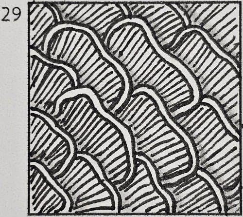 April 29th Doodle Tutorial