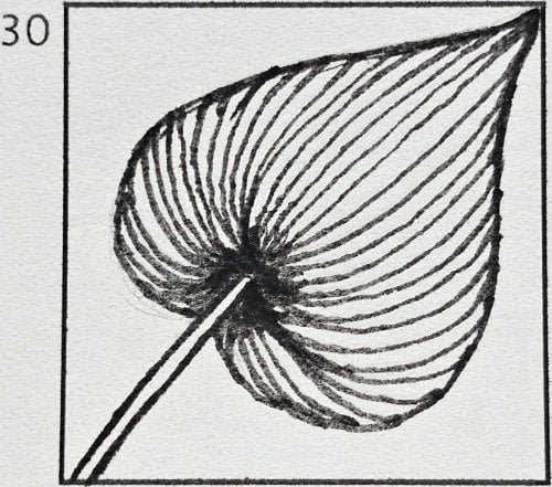 July 30th Doodle Tutorial
