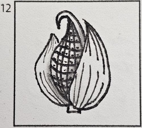 November 12th Doodle Tutorial