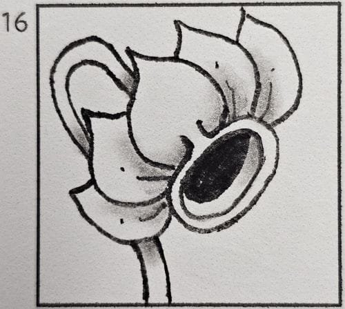 November 16th Doodle Tutorial