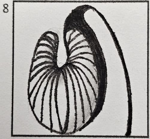 December 8th Doodle Tutorial