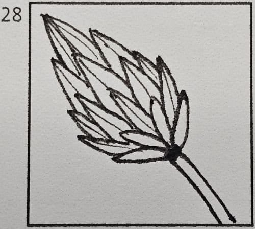 December 28th Doodle Tutorial